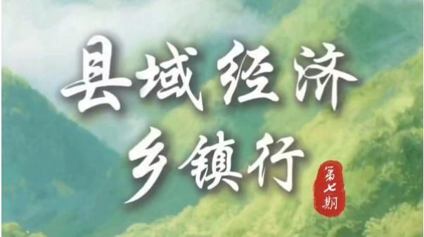 县域经济行｜吉首市双塘街道多元产业齐头并进