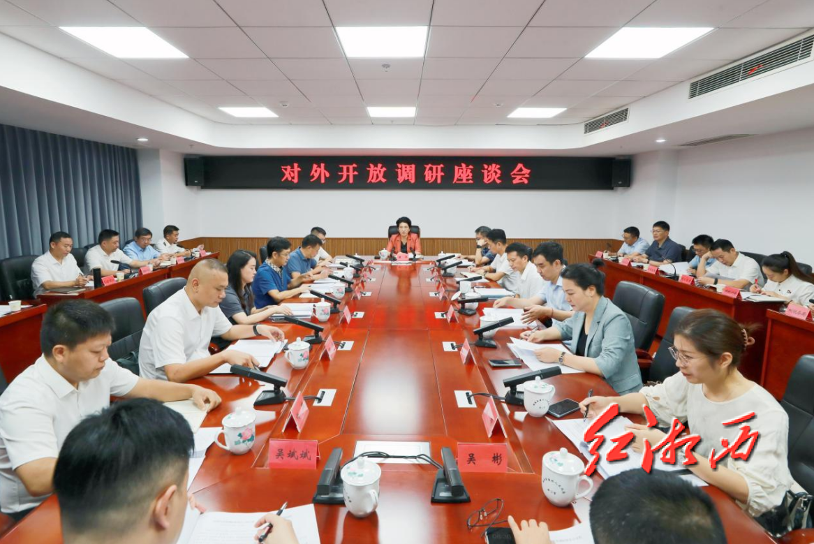 陈华主持召开对外开放调研座谈会