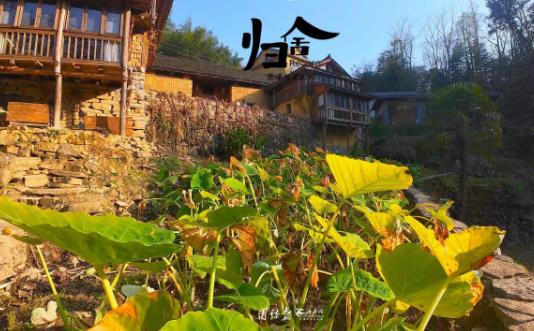 归去来兮，此心安处是吾乡｜穿越机探秘凤凰苗寨·归舍