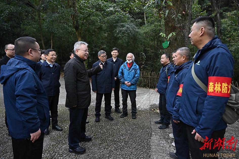 沈晓明赴郴州市开展巡林工作