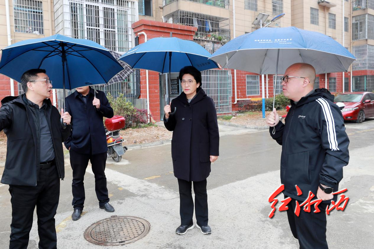 陈华在保靖调研时强调要抓紧抓实有效衔接工作