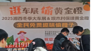 车展逛展还能“偷”橙子？看车薅橙双丰收！冬季车展持续进行中，19日至22日，湘西职院文体会展中心等你来打卡！