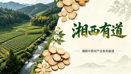 湘西有道